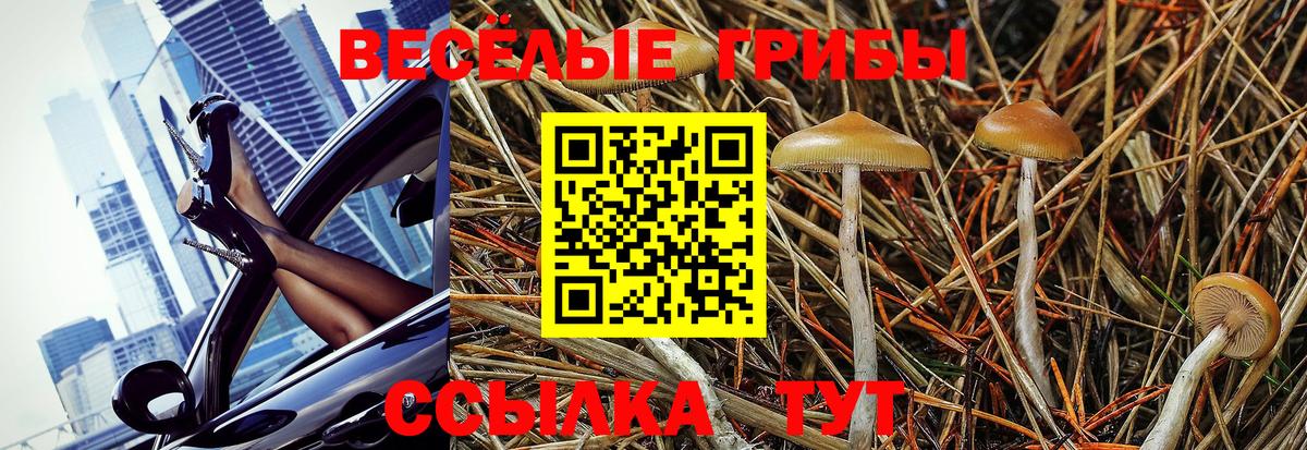 Галлюциногенные грибы Magic Shrooms Городец