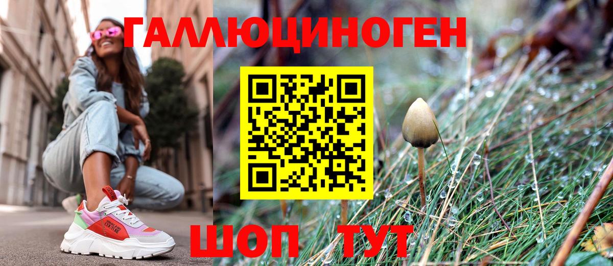 Городец  Галлюциногенные грибы Magic Shrooms  как найти закладки  Галлюциногенные грибы мицелий  Вход с VPN 